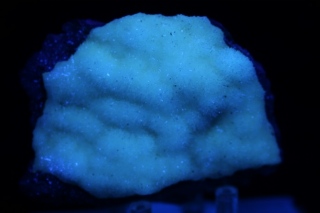 Aragonite - Coli, Trebbia Valley, Italy
